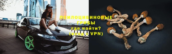 MDMA Белокуриха