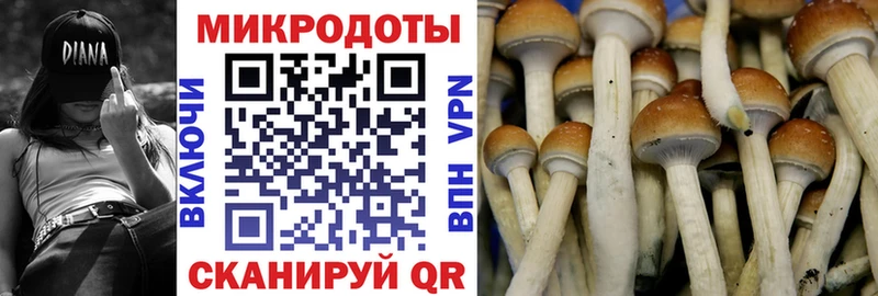 это как зайти  сколько стоит  Ростов-на-Дону  Галлюциногенные грибы мухоморы 
